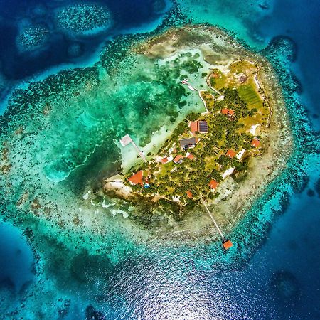 Hatchet Caye Island Resort (Adults Only) Placencia Exterior foto